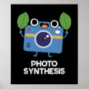 Suche nach fotosynthese poster Wissenschaft
