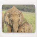 Suche nach inder mousepads Indien