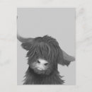 Suche nach rinder postkarten Natur