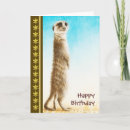 Suche nach meerkat karten Tier
