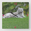 Suche nach tiger wanduhren Jede person