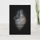 Suche nach muscheln karten Einzigartig