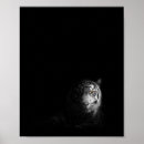 Suche nach schwarz weißer tiger poster Wildtier