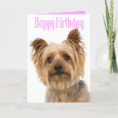 Suche nach yorkshire terrier geburtstag karten Welpe