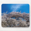 Suche nach japanische kirschblüte mousepads Quelle