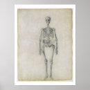 Suche nach menschliches skelett poster 1724 1806