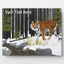 Suche nach tiger fotoplatten Tiere