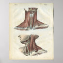 Suche nach necken sie poster Head