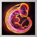 Suche nach embryo poster Baby