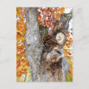 Suche nach alter baum postkarten Für alle