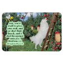 Suche nach schriften magnete Jede person