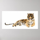 Suche nach tiger aquarell poster Aquarellkunst