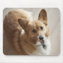 Suche nach boden mousepads In voller länge