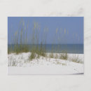 Suche nach pensacola strand postkarten Wasser