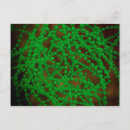 Suche nach überfluss postkarten Grün