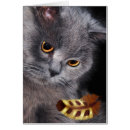 Suche nach russische blaue katze postkarten Katzenliebhaber