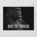 Suche nach gorillas postkarten Natur
