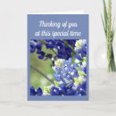 Suche nach texas wildblumen postkarten Schön