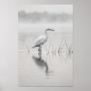 Suche nach vogeldrucke poster Minimalistischer vogeldruck