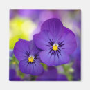Suche nach viola magnete Mit blumen