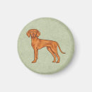Suche nach vizsla magnete Niedlich