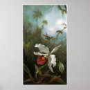 Suche nach cattleya poster Kolibris