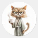 Suche nach grumpy cat aufkleber Sarkastikkatze