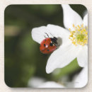 Suche nach marienkäfer untersetzer Sommer