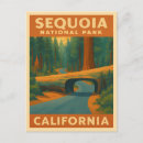 Suche nach sequoia postkarten Rotholz