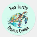Suche nach turtle aufkleber Schildkröten