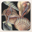 Suche nach schatz untersetzer Seashell