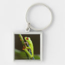 Suche nach rotes auge schlüsselanhänger Frosch