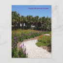 Suche nach wildblumen postkarten Jede person