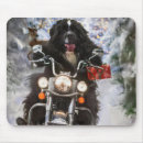Suche nach reiten mousepads Jede person