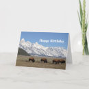 Suche nach amerikanischer büffel karten Bison