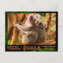 Suche nach koala bären postkarten Lustig