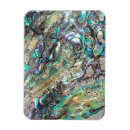 Suche nach muschel magnete Jede person