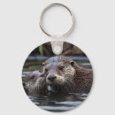 Suche nach otter schlüsselanhänger Tierwelt