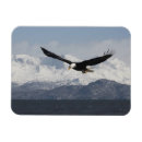 Suche nach vor dem flug magnete Hausfrau