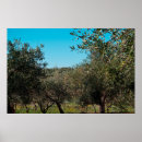 Suche nach olivenbaum kunst Landwirtschaft