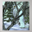Suche nach schneebedeckte poster Eule
