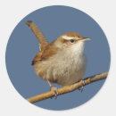 Suche nach wren aufkleber Vogelbeobachtung