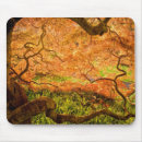 Suche nach ahorn mousepads Muster