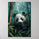 Suche nach bambuswald poster Panda