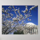 Suche nach 2 bäume poster Baum