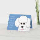 Suche nach der pelz postkarten Poodle