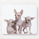 Suche nach 7 mousepads Natur