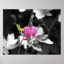 Suche nach blutende herzen poster Rosa