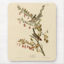 Suche nach amerikanischer vogel mousepads Vogelvogel