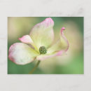 Suche nach blumenblätter postkarten Botanisch